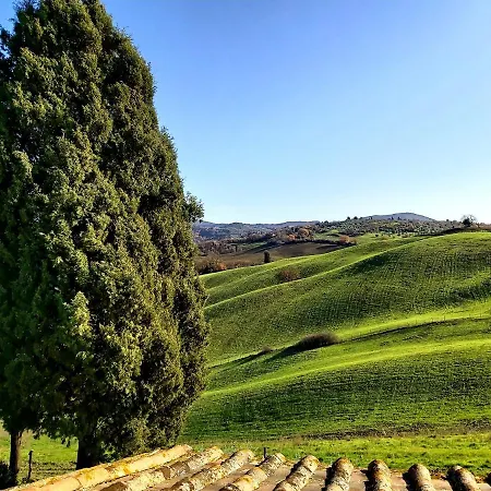Il Poggio Montisi