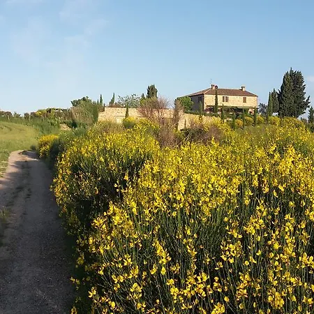 Il Poggio