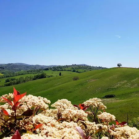 Il Poggio Villa Montisi